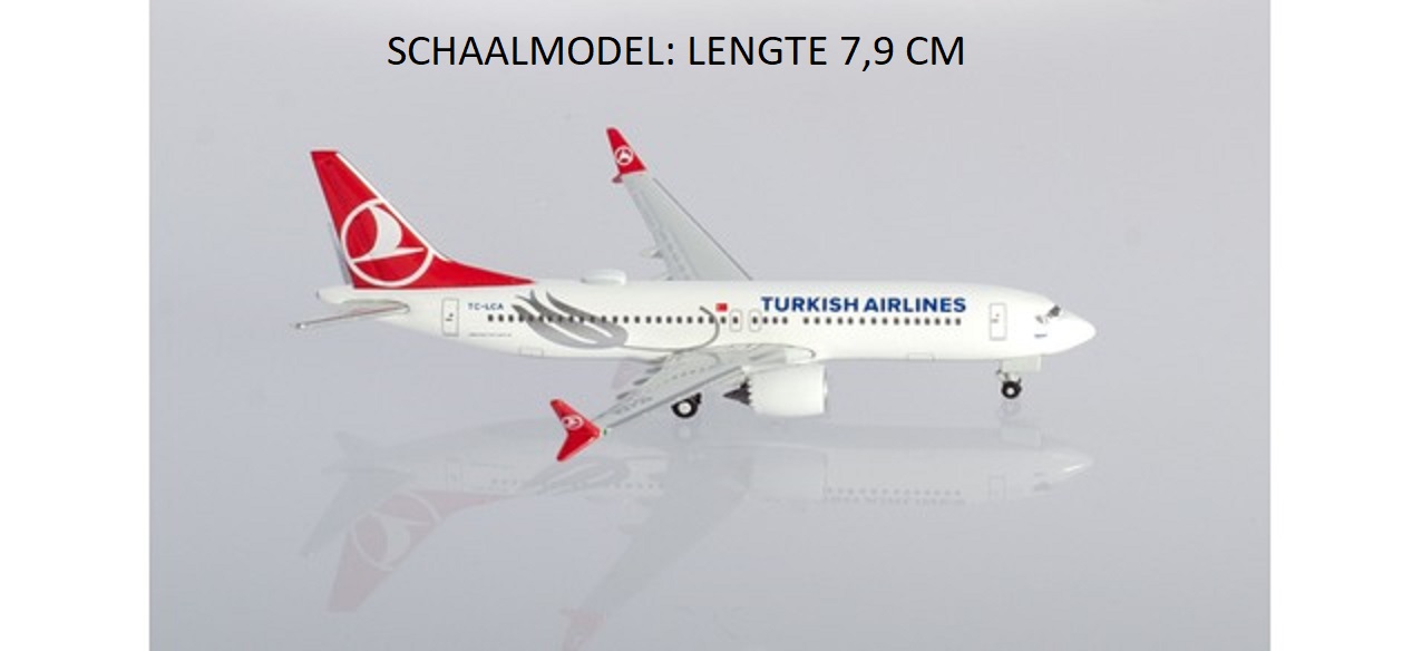 Boeing 737 MAX 8 Turkish Airlines Tokat