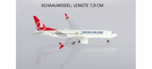 Boeing 737 MAX 8 Turkish Airlines Tokat