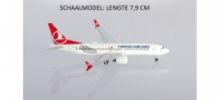 Boeing 737 MAX 8 Turkish Airlines Tokat